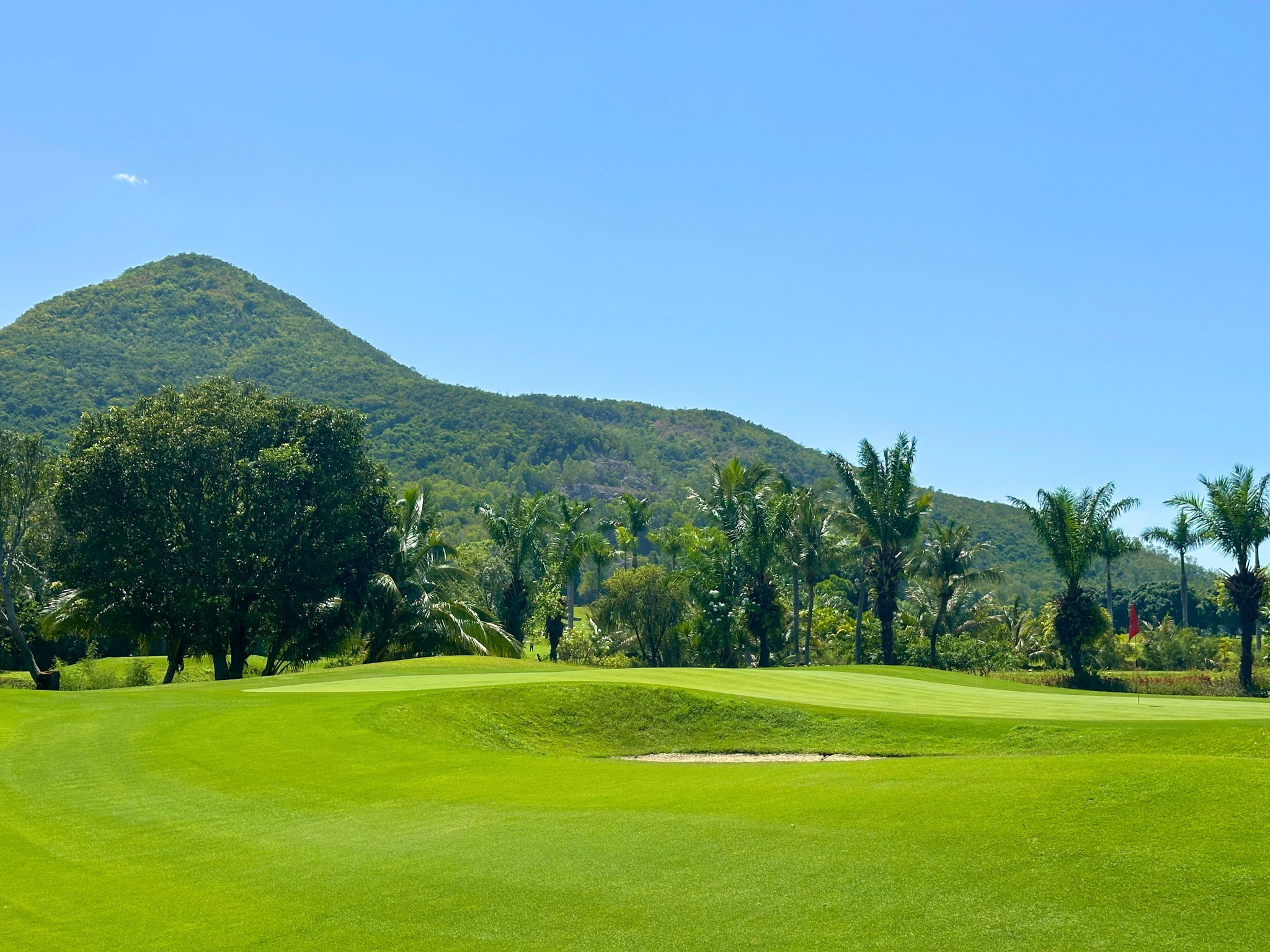 538638384_1355123469946695_3862180076895624330_n