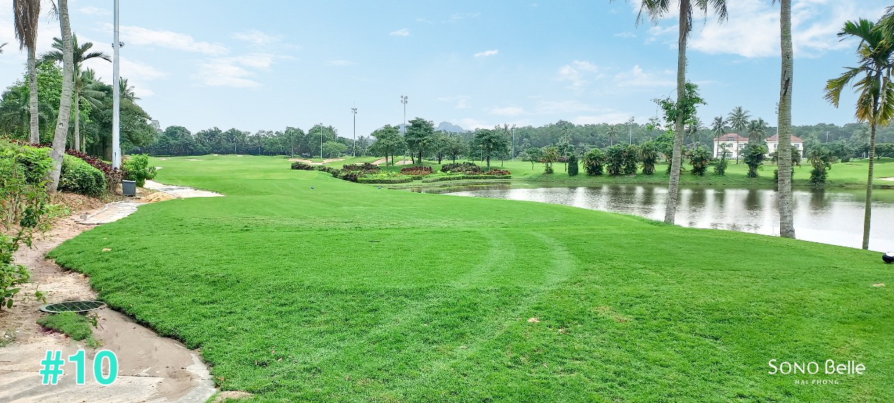 491727165_1225388502923489_4992640108073272871_n