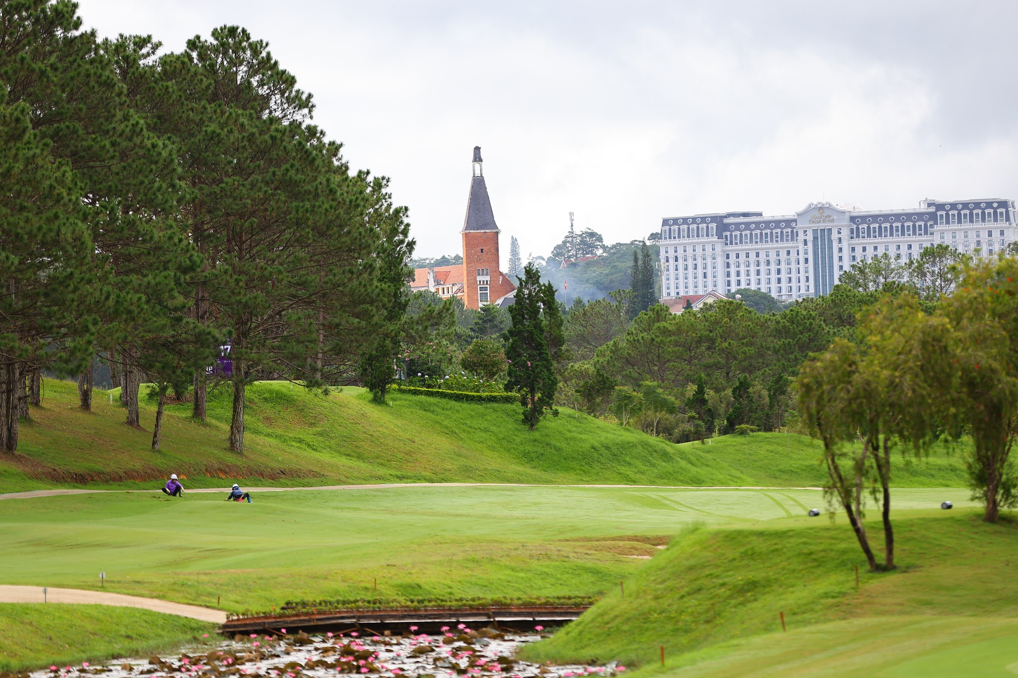 546631236_1178810317628670_7186734881078349963_n