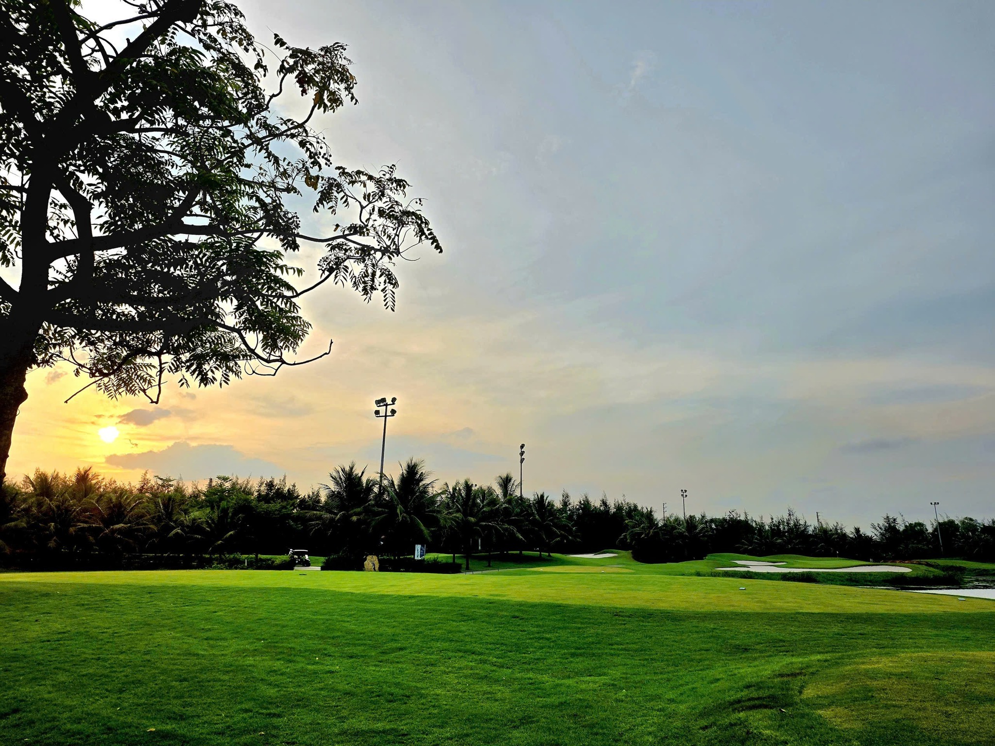 559358056_1266844882123131_6645125107967338436_n