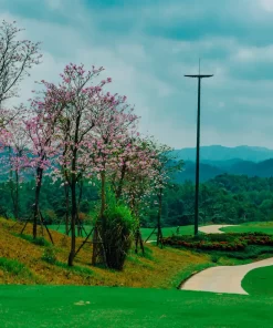 Sapa Grand Golf Course