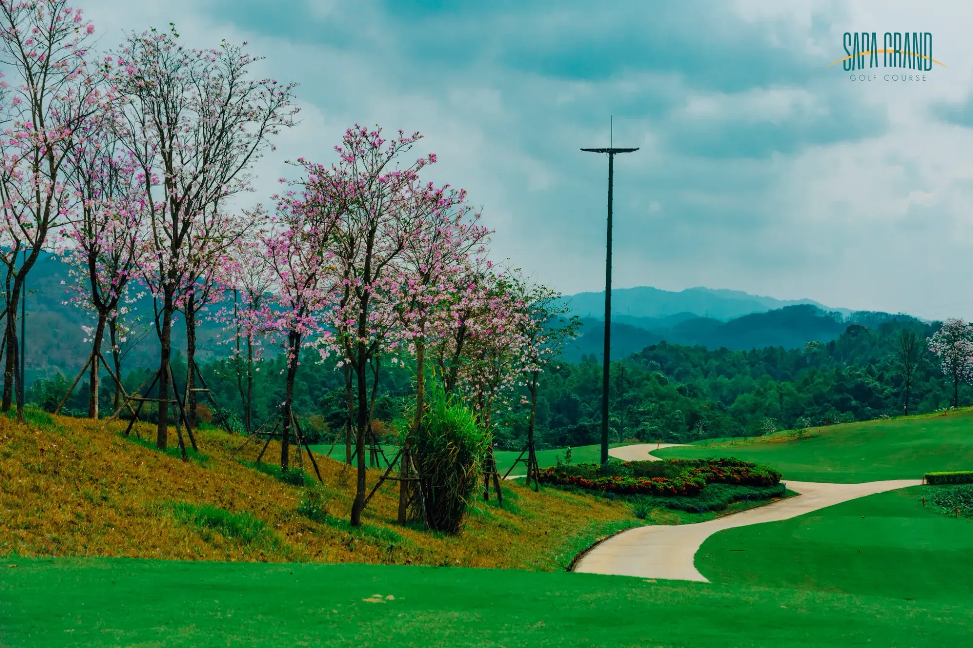 67e7767edec94cde3f3ab229__R2A6365 copy 2-p-2000