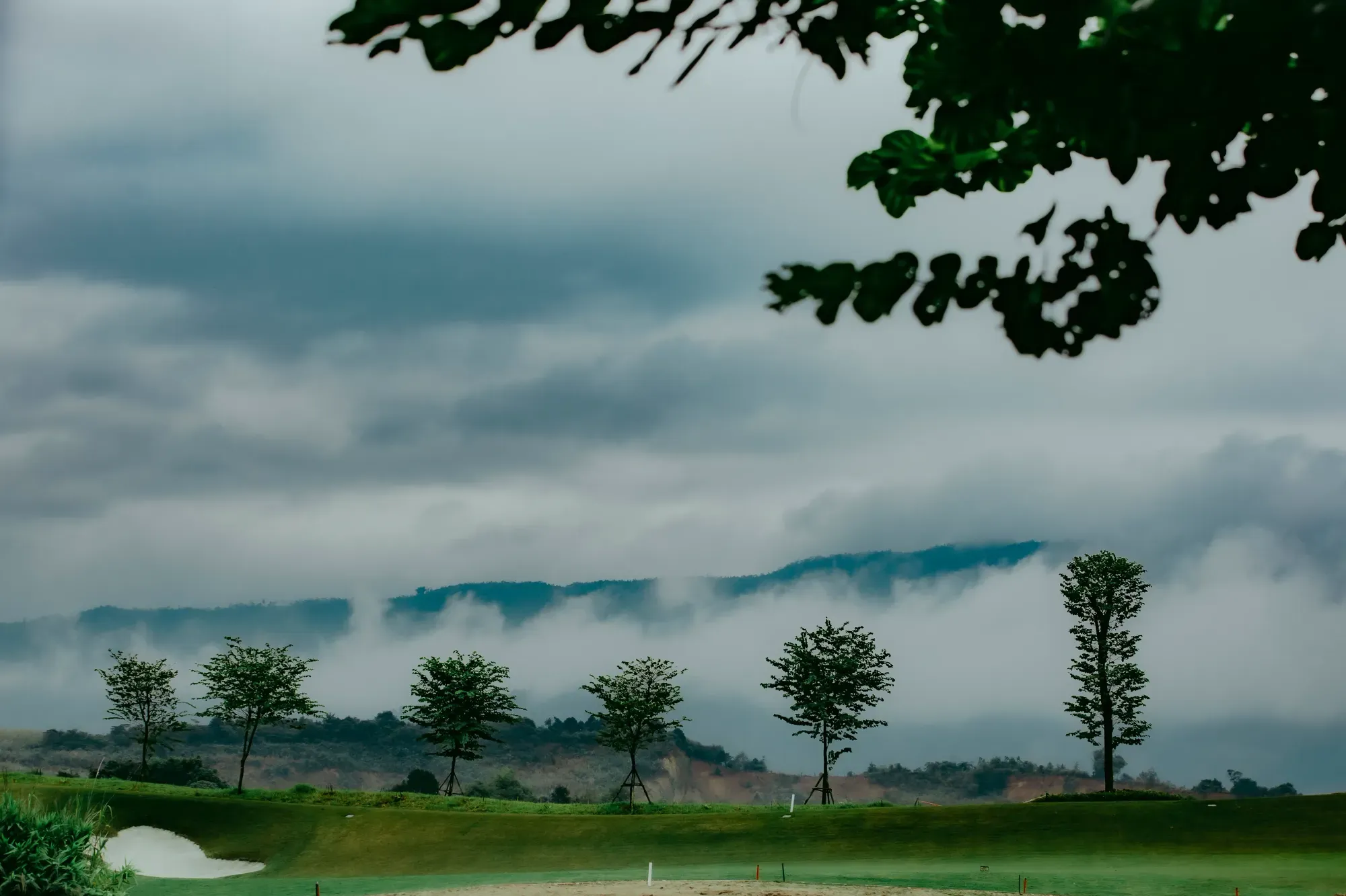 67e7768d48e9ec6942c54251__R2A2313 copy-p-2000