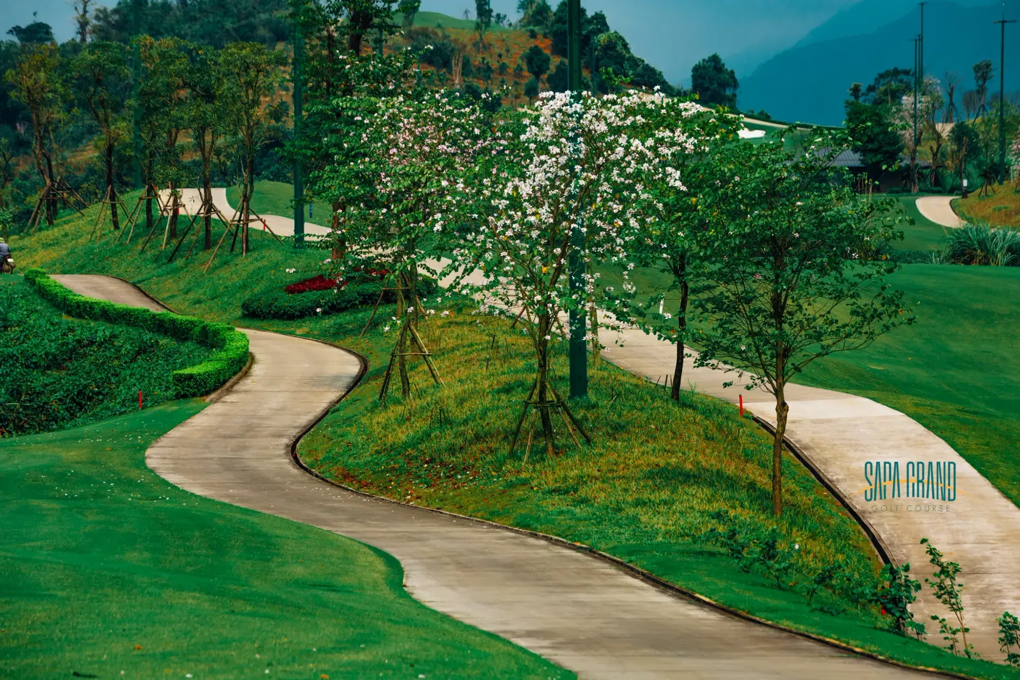 67e7768d83d83f1907830131__R2A6384 copy 2-p-2000