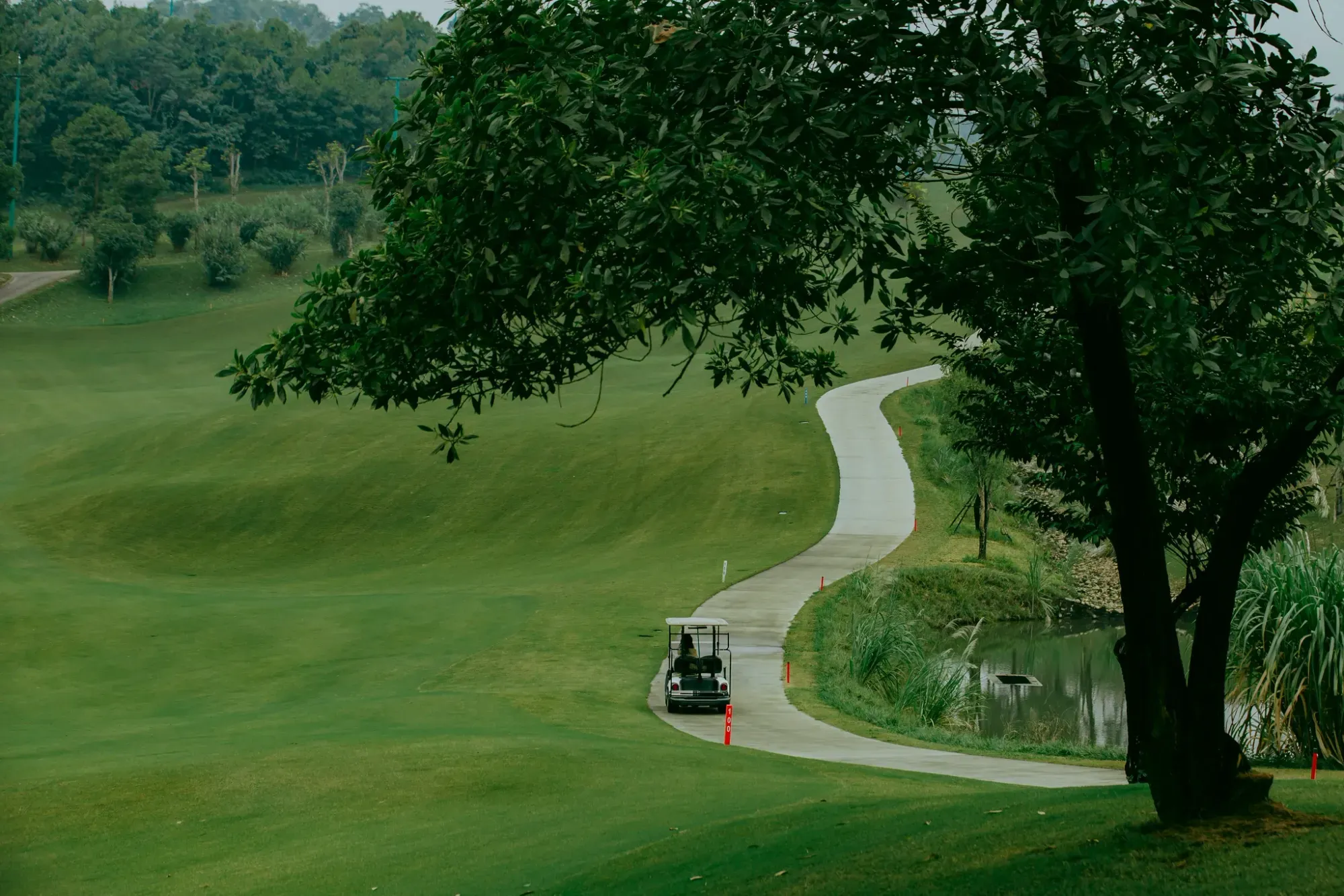 67e7768ed858ae689e1c4faf__R2A2225 copy-p-2000